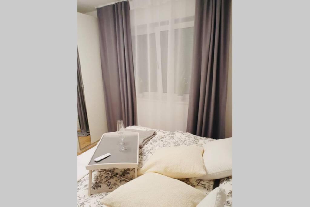 Leon Apartment Neu! Gemuetlichkeit An Erster Stelle リンツ エクステリア 写真